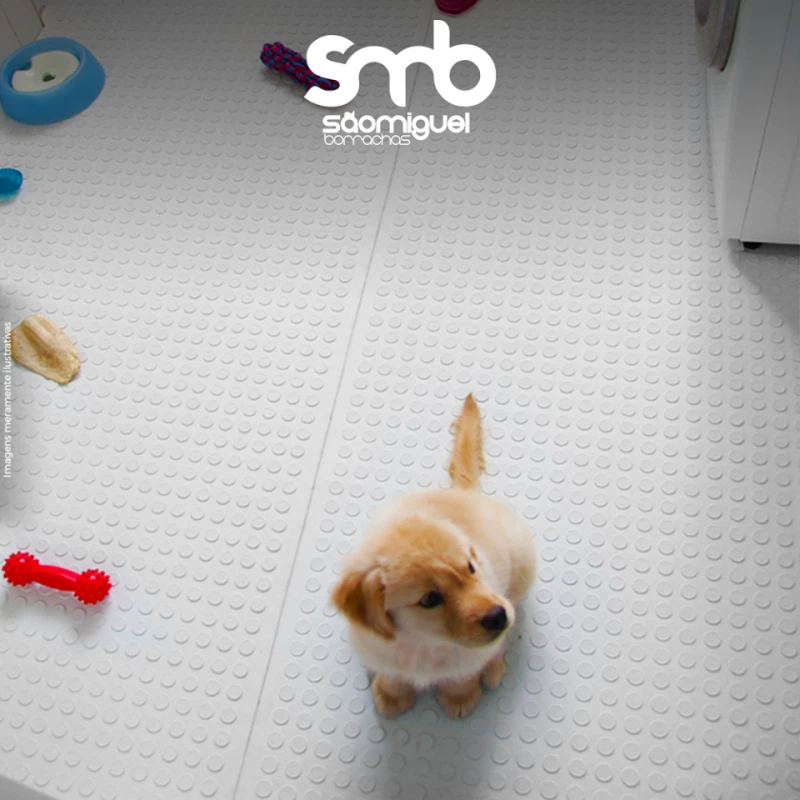 Imagem ilustrativa de Piso de borracha para cães